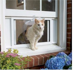 PetSafe PetSafe Cat Windoor PPA00-10957