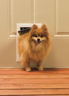 PetSafe PetSafe Utimate Pet Door - Small (PPDS-11)